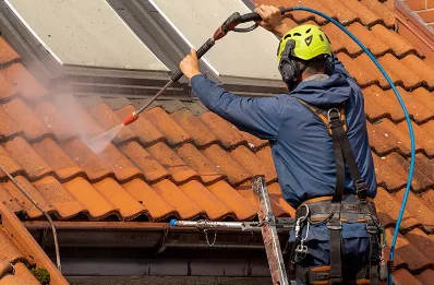 Démoussage et hydrofuge de toiture à Trizac